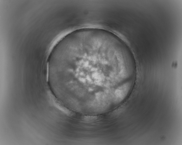 X0000111901223200908240954