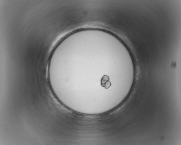 X0000111901224200908240954