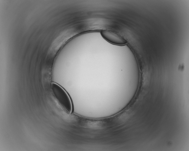 X0000111901225200908240954