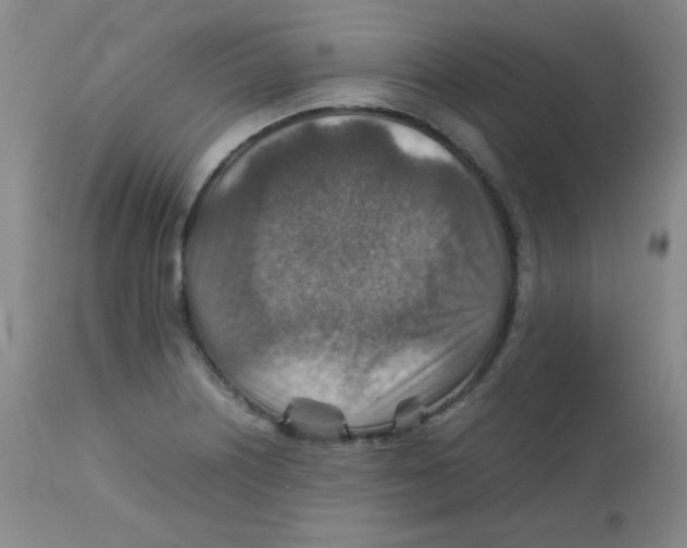 X0000111901226200908240954