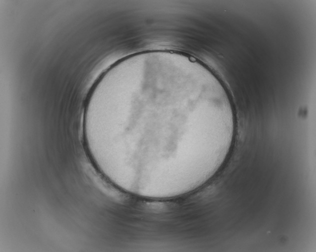 X0000111901227200908240954