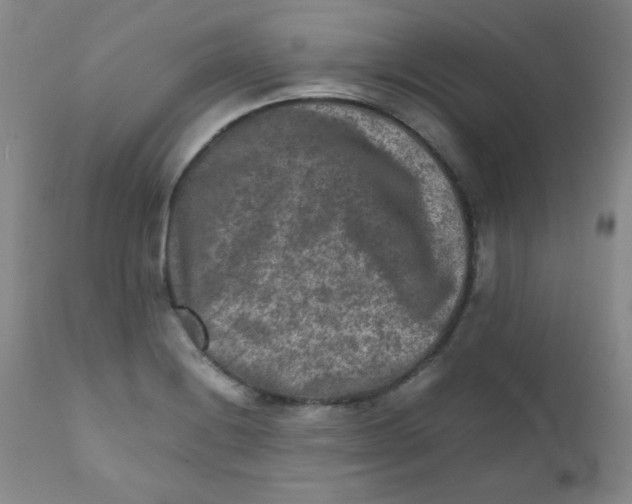 X0000111901228200908240954