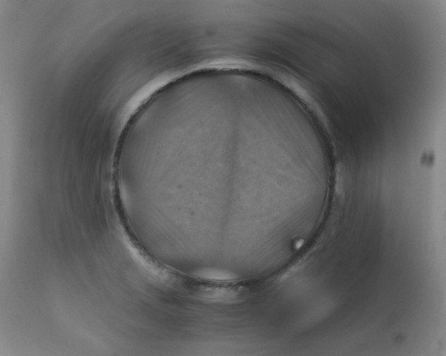 X0000111901229200908240954