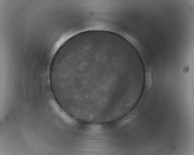 X0000111901230200908240954