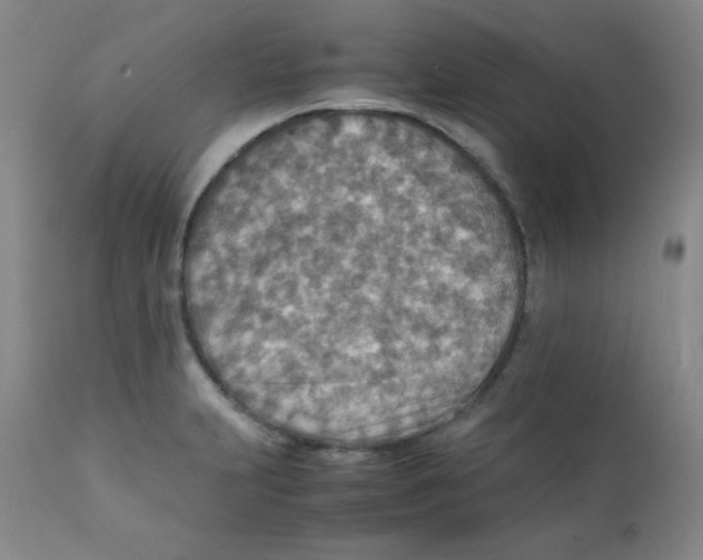 X0000111901231200908240954