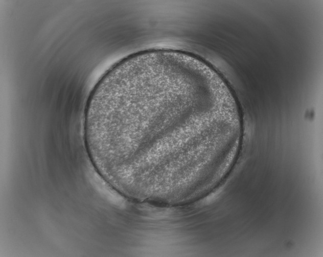 X0000111901232200908240954