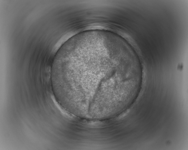 X0000111901233200908240954