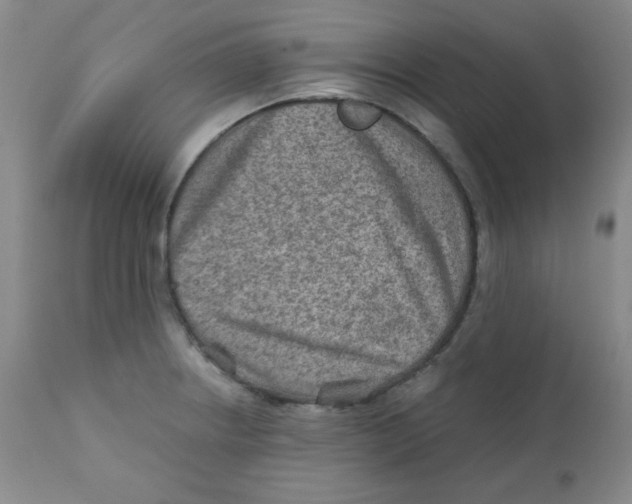 X0000111901234200908240954