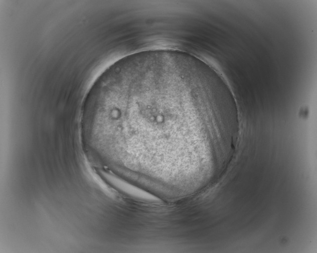 X0000111901235200908240954