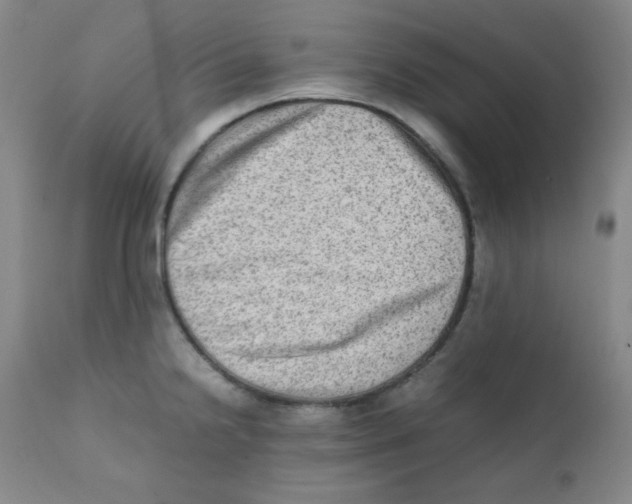 X0000111901238200908240954