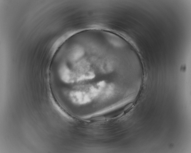 X0000111901239200908240954