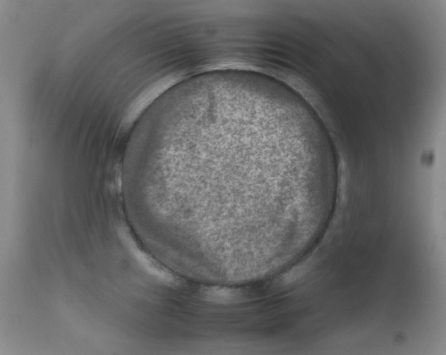 X0000111901241200908240954