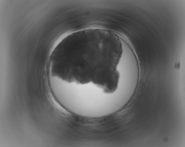 X0000111901243200908240954