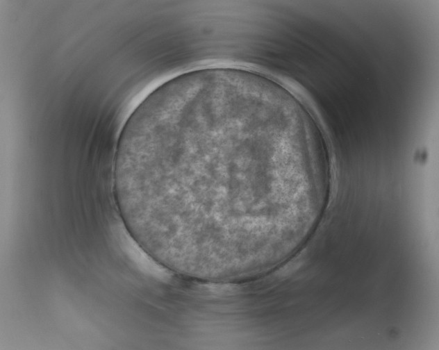 X0000111901244200908240954