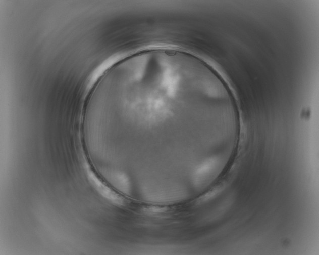 X0000111901245200908240954