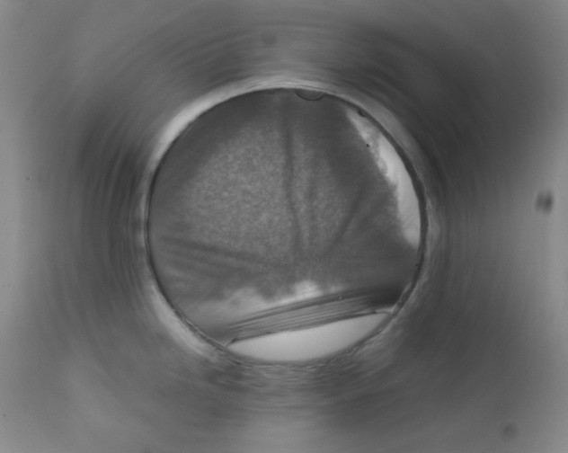 X0000111901246200908240954