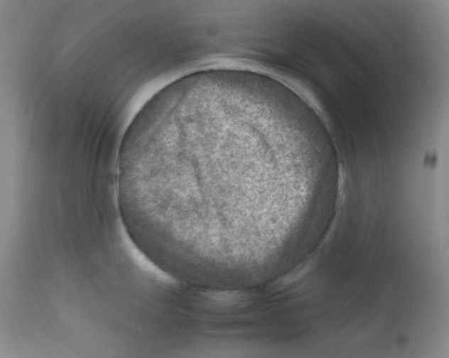 X0000111901247200908240954