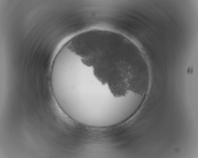 X0000111901248200908240954