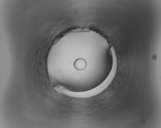 X0000111901249200908240953