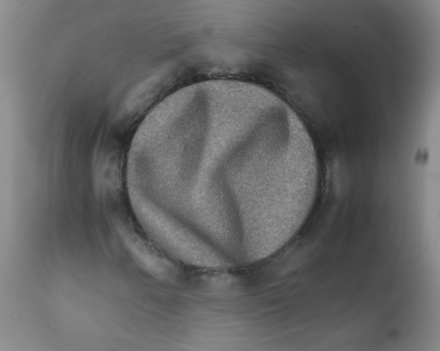 X0000111901250200908240953