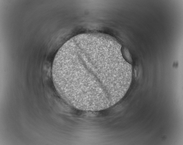 X0000111901251200908240953