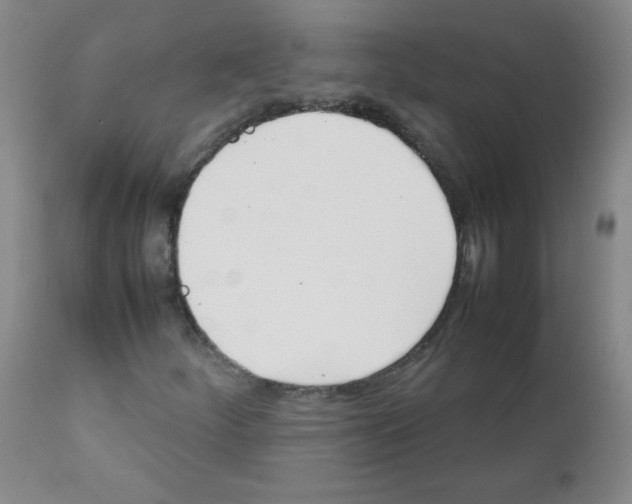 X0000111901252200908240953