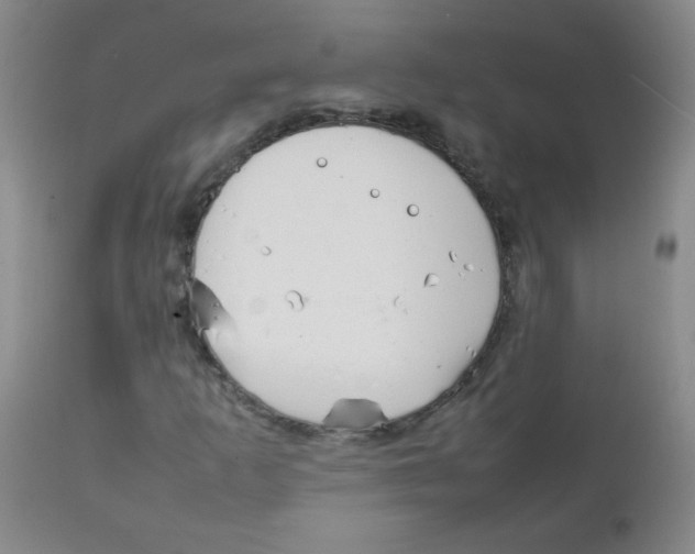 X0000111901253200908240953