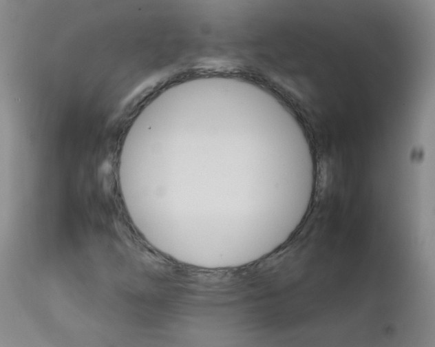 X0000111901254200908240953