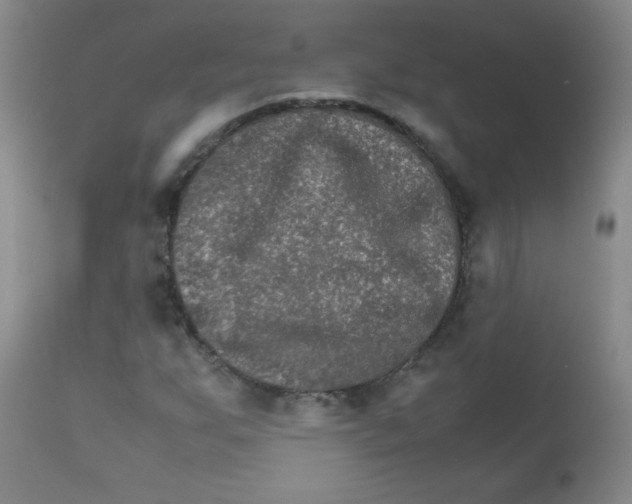 X0000111901255200908240953