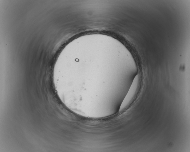 X0000111901257200908240953