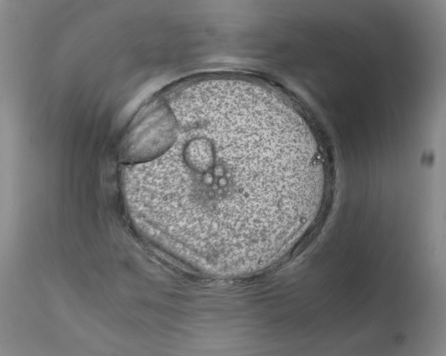 X0000111901259200908240953