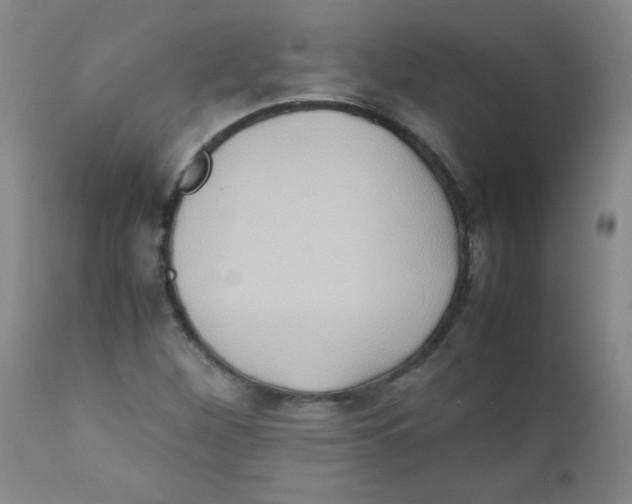 X0000111901260200908240953