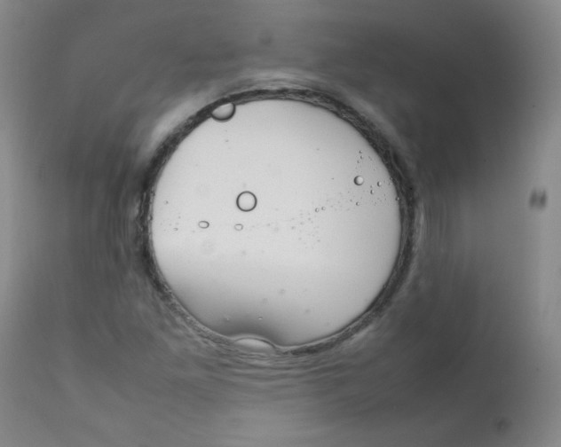 X0000111901261200908240953