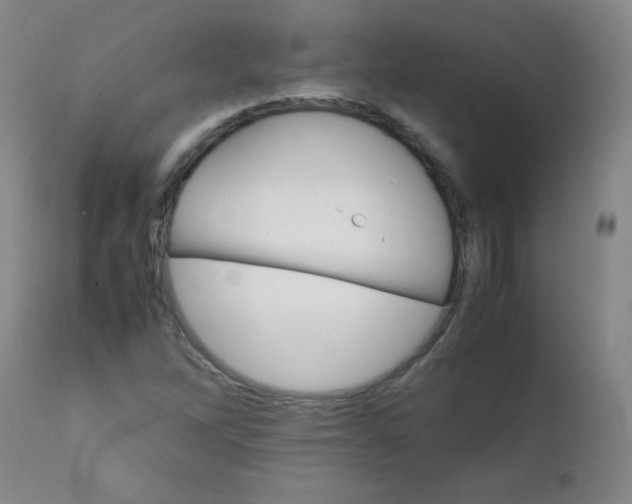 X0000111901262200908240953