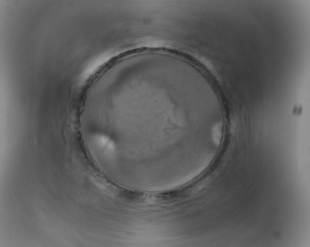 X0000111901263200908240953