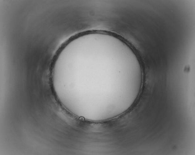 X0000111901264200908240953