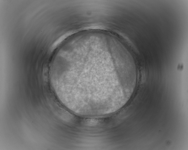 X0000111901266200908240953