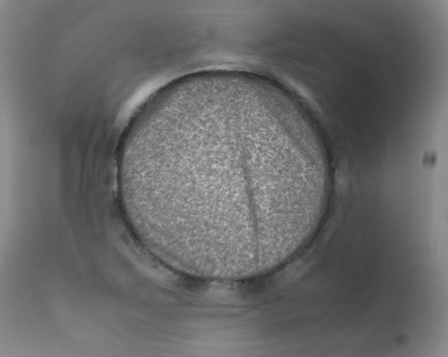 X0000111901267200908240953