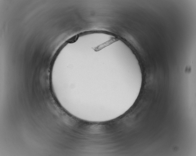 X0000111901268200908240953