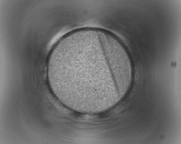 X0000111901271200908240953