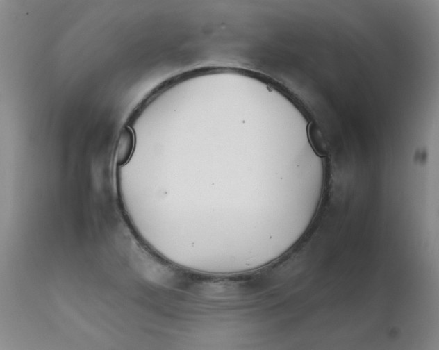 X0000111901272200908240953