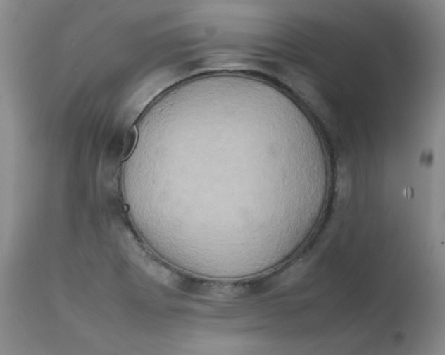 X0000111901273200908240953