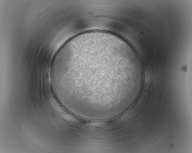 X0000111901274200908240953