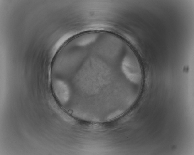 X0000111901275200908240953