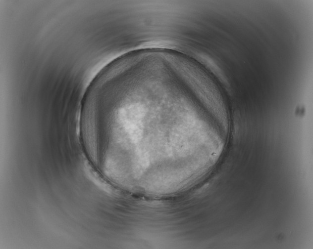 X0000111901276200908240953