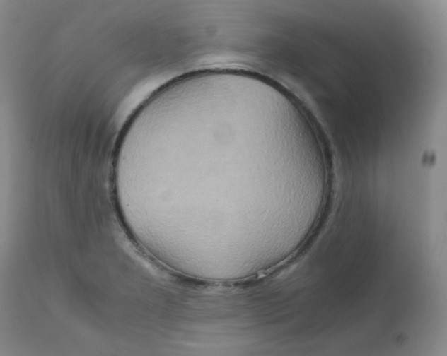 X0000111901277200908240953