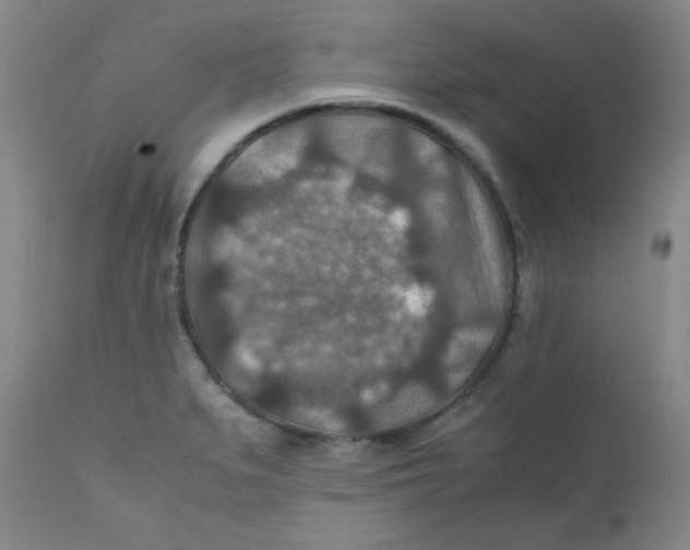 X0000111901279200908240953