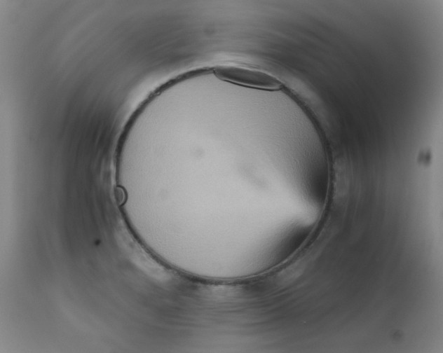 X0000111901280200908240953