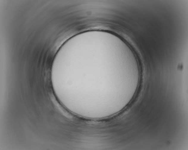 X0000111901281200908240953