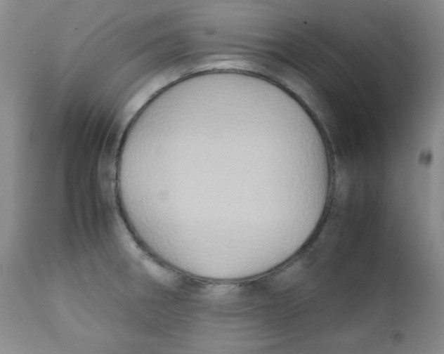 X0000111901282200908240953